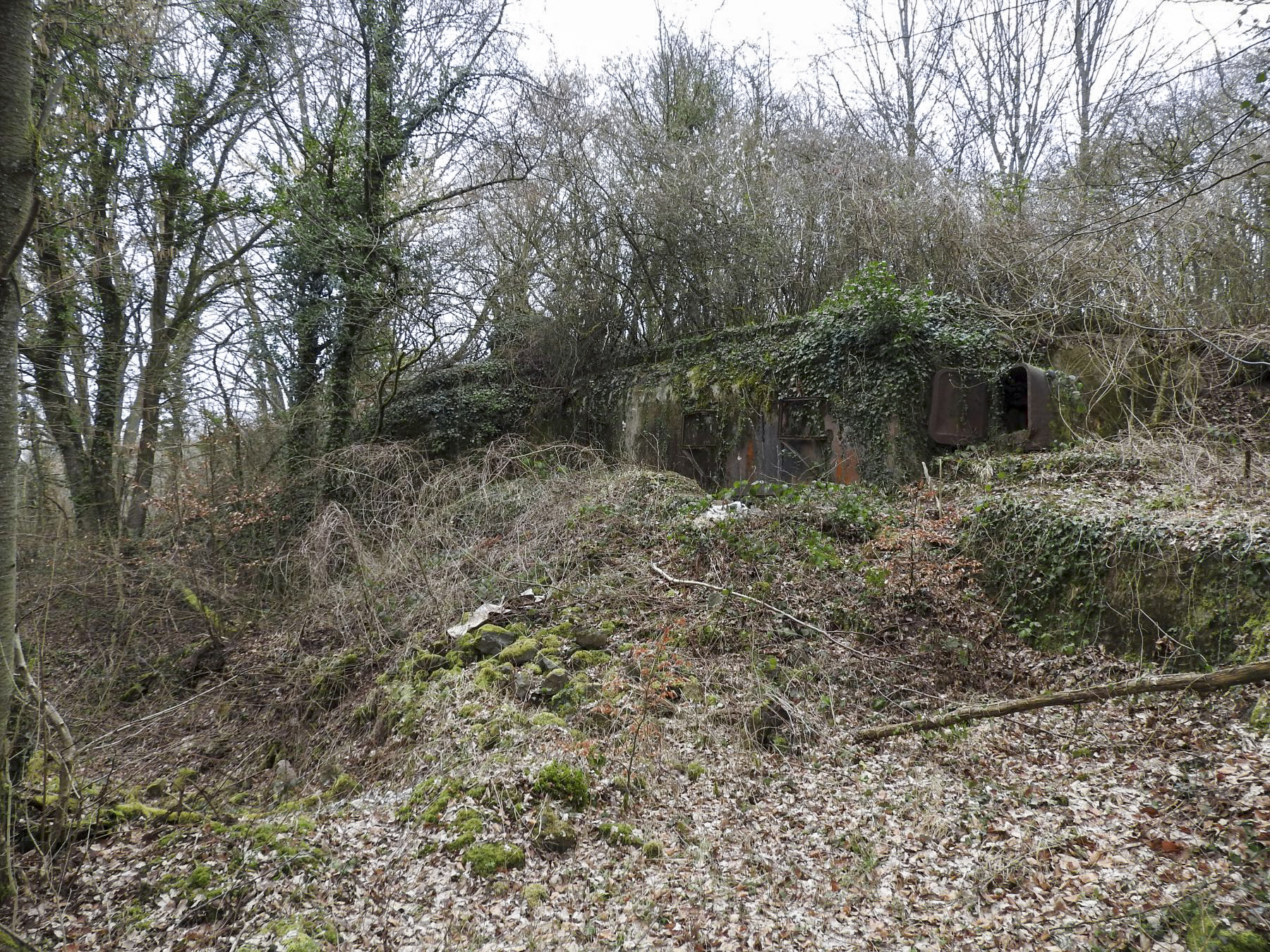 Ligne Maginot - BILLIG - A18 - (Ouvrage d'artillerie) - Bloc 1
La façade du bloc remblayée - STENGER Mathieu