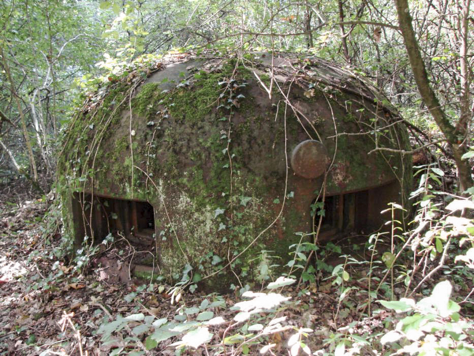 Ligne Maginot - BILLIG - A18 - (Ouvrage d'artillerie) - Bloc 1
Cloche GFM