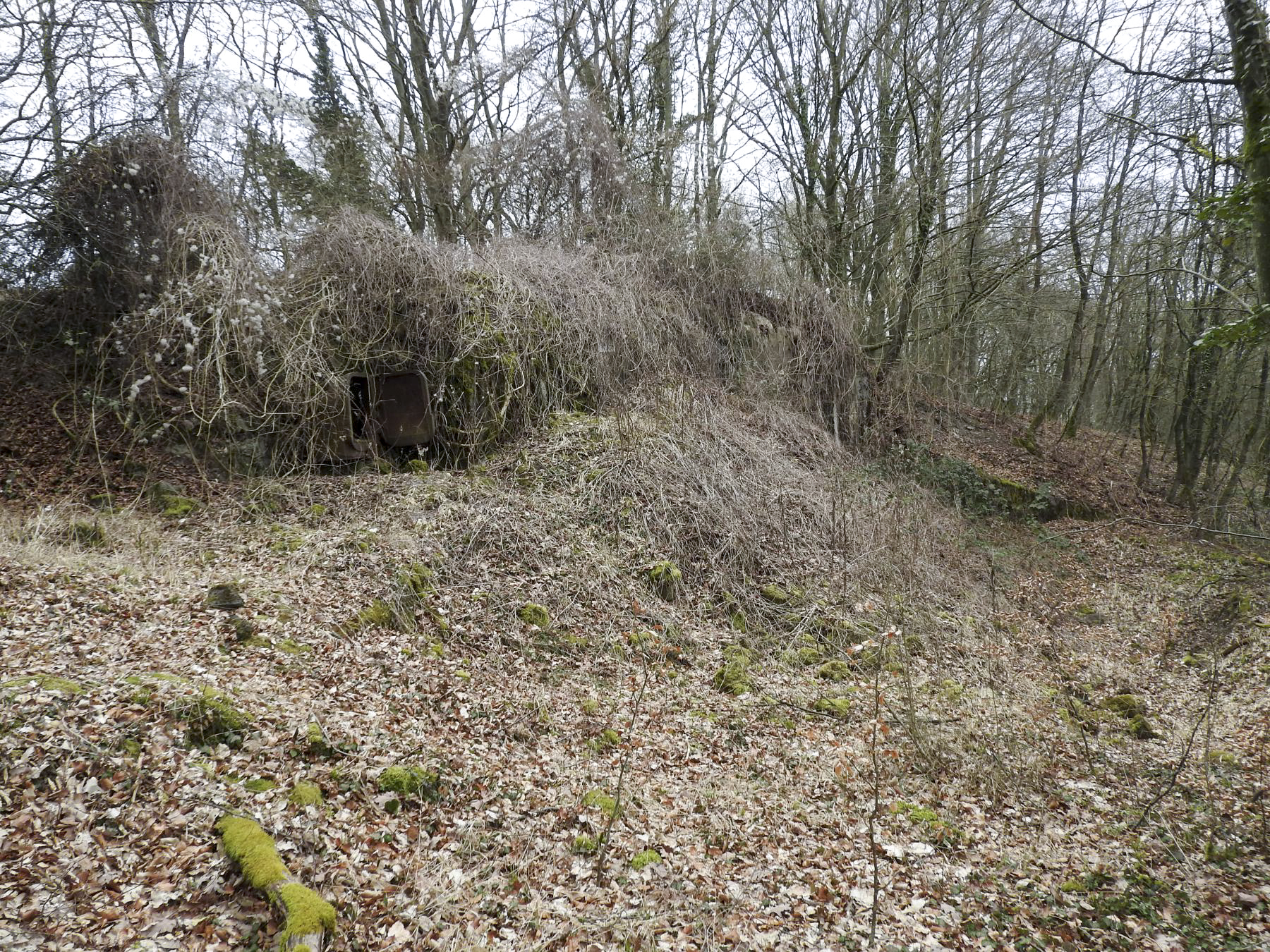 Ligne Maginot - BILLIG - A18 - (Ouvrage d'artillerie) - Bloc 3
Le bloc remblayé 