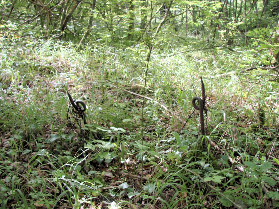 Ligne Maginot - BILLIG - A18 - (Ouvrage d'artillerie) - Essentiellement aux Bloc 4 et 6, à l'approche de ces derniers, les lieux sont parsemés de défense de type 'queue de cochon'.