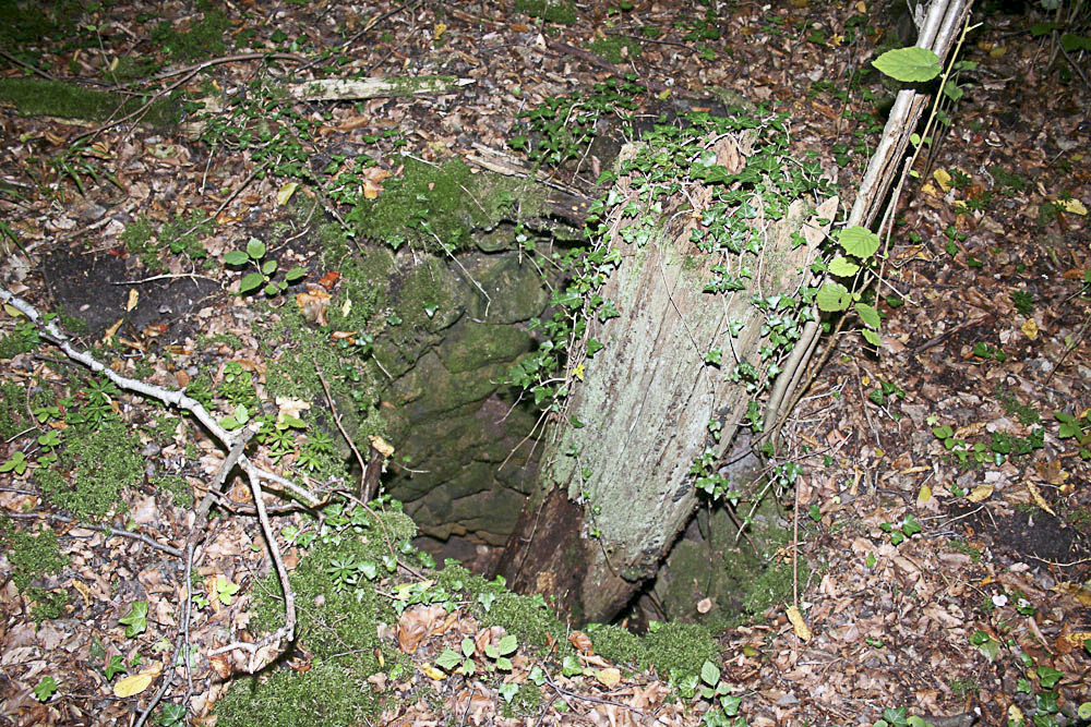 Ligne Maginot - BILLIG - A18 - (Ouvrage d'artillerie) - Bloc 6
Puits emmuré à proximité du bloc aves les restes d'un tronc d'arbre (identique, en plus petit de ceux, qu'on trouve à proximité de l'EM de Molvange)