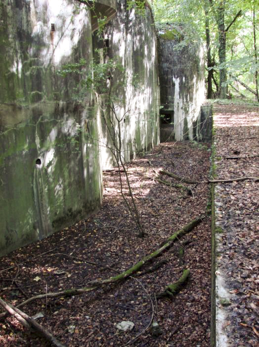 Ligne Maginot - BILLIG - A18 - (Ouvrage d'artillerie) - Bloc 5
Le fossé diamant. - Schnoupf