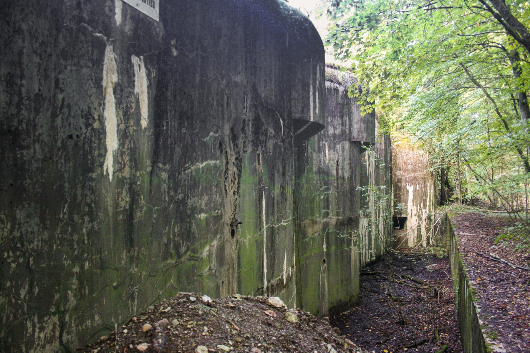 Ligne Maginot - BILLIG - A18 - (Ouvrage d'artillerie) - Bloc 5 - Michel Teiten
