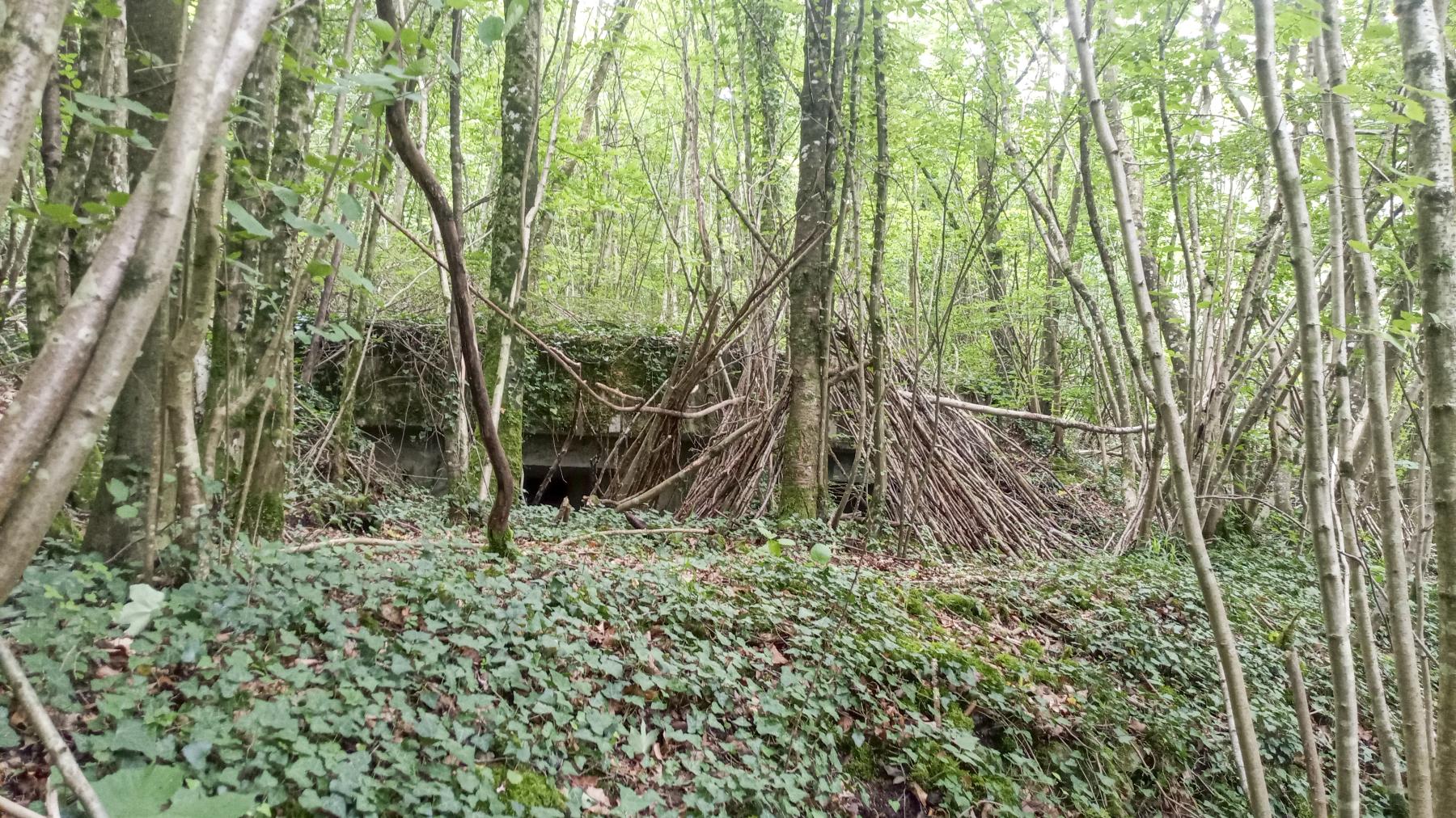 Ligne Maginot - MB24 - (Blockhaus pour arme infanterie) -  - Marc Fossoul