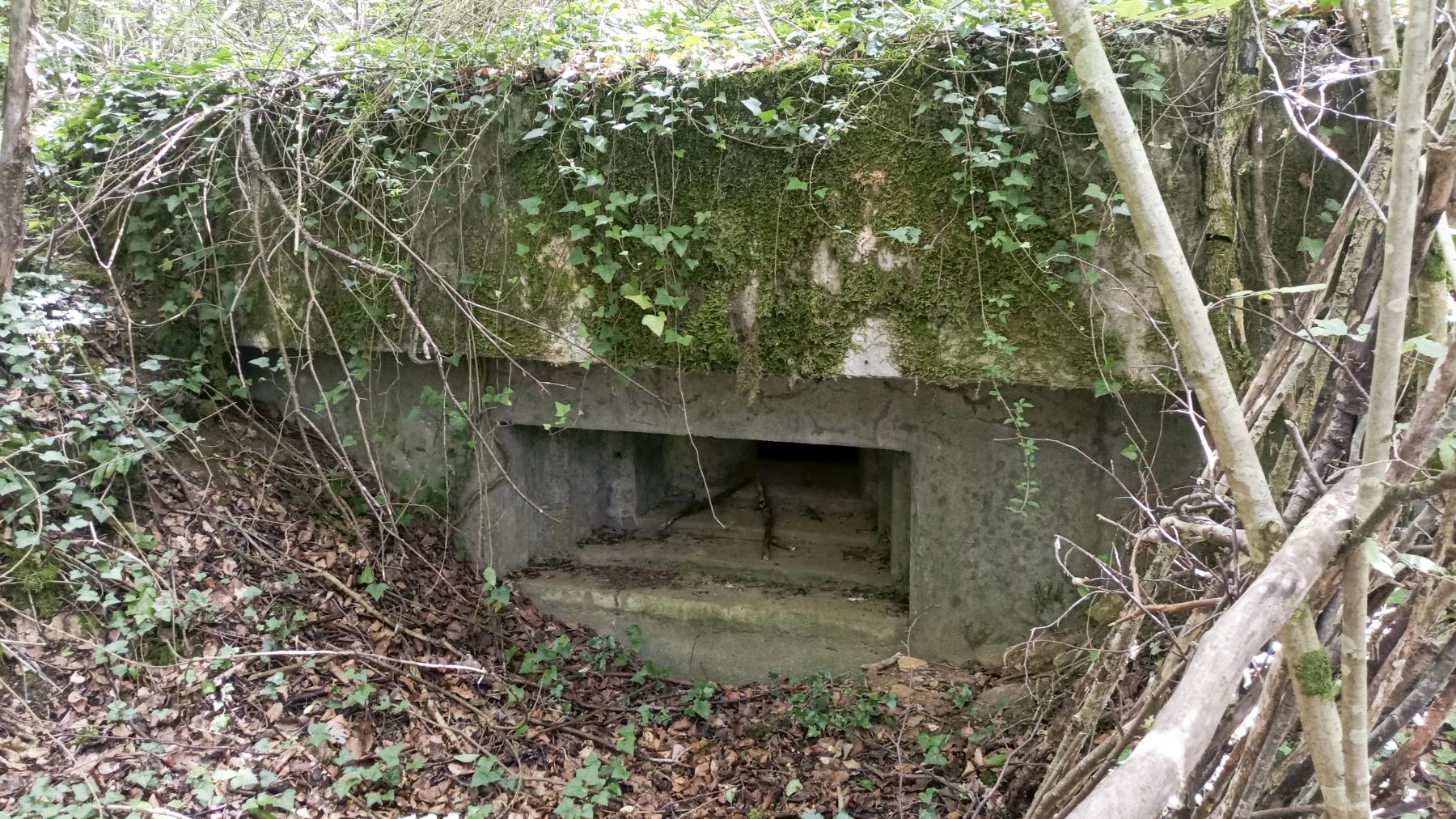 Ligne Maginot - MB24 - (Blockhaus pour arme infanterie) - Un des deux créneaux - Marc Fossoul