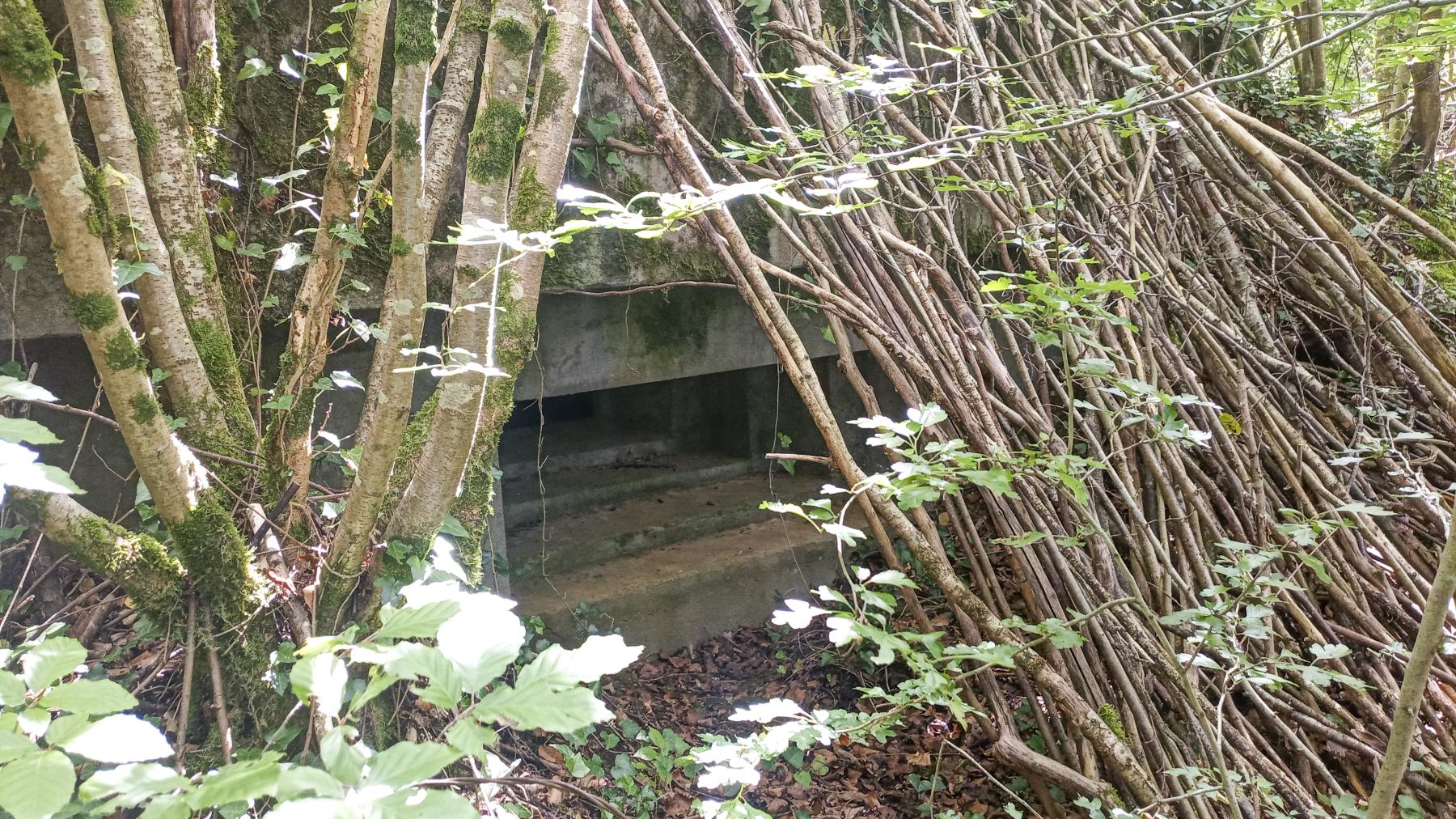Ligne Maginot - MB24 - (Blockhaus pour arme infanterie) - Un des deux créneaux - Marc Fossoul