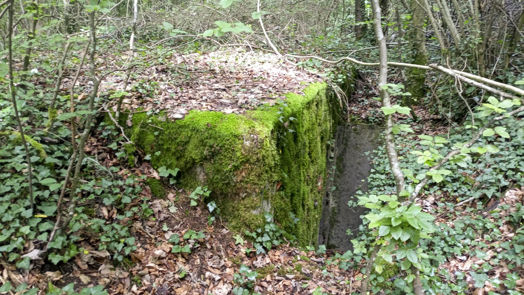 Ligne Maginot - MB24 - (Blockhaus pour arme infanterie) - Face arrière - Marc Fossoul