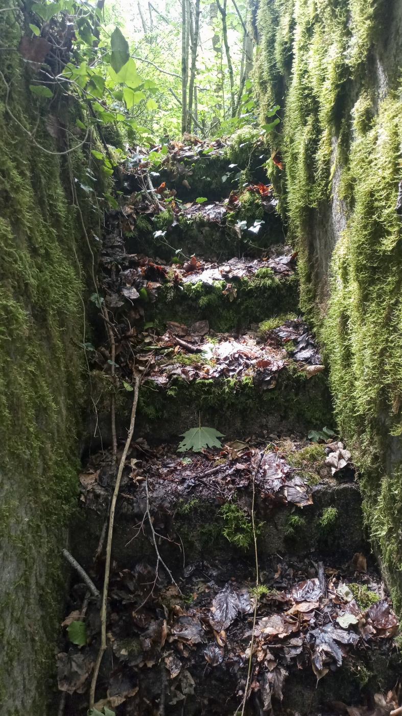 Ligne Maginot - MB24 - (Blockhaus pour arme infanterie) - Face arrière - Marc Fossoul