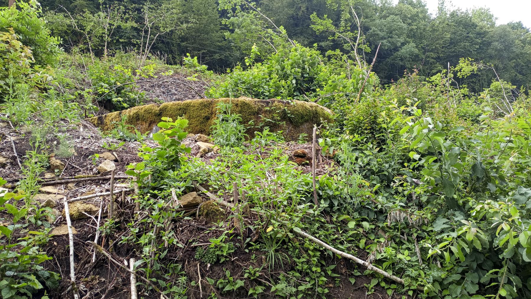 Ligne Maginot - MT7 - (Cuve pour arme d'infanterie) - L'emplacement de la tourelle adossé au talus - Marc Fossoul