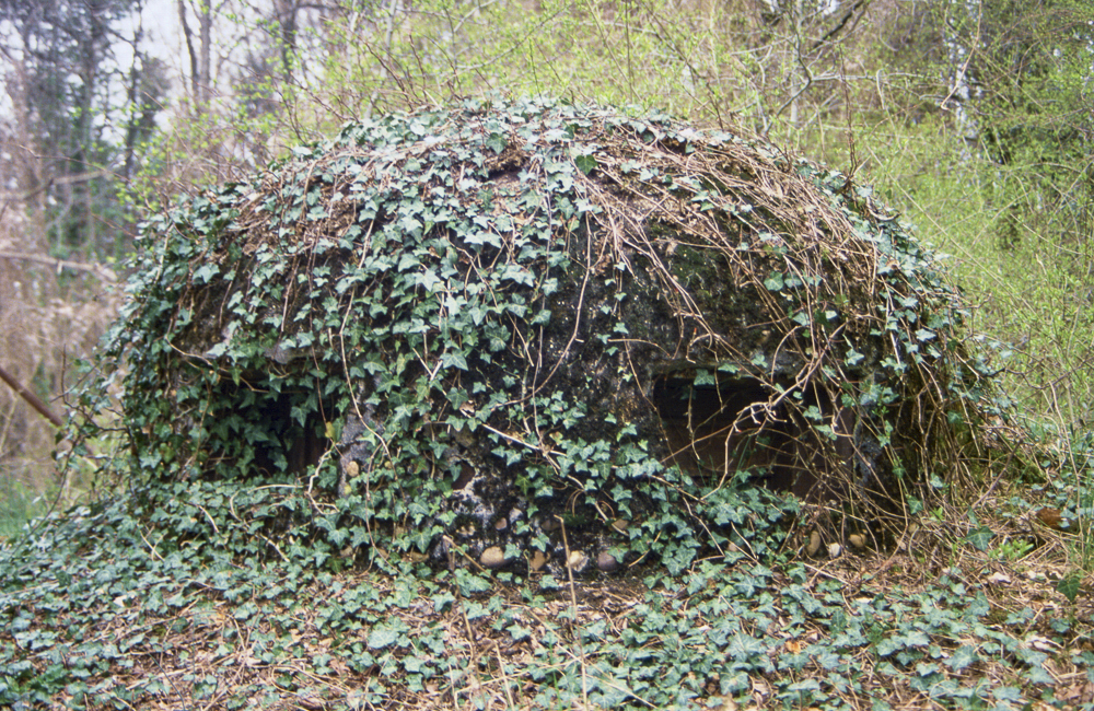 Ligne Maginot - MONT DES WELCHES - A21 - (Ouvrage d'artillerie) - Entrée des hommes
Cloche GFM Avec son camouflage en béton et ... naturel 