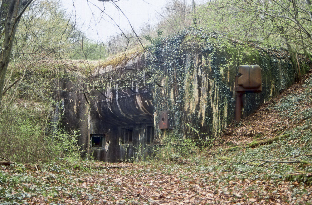 Ligne Maginot - MONT DES WELCHES - A21 - (Ouvrage d'artillerie) - Bloc 4
Façade de la casemate avec les deux créneaux JM