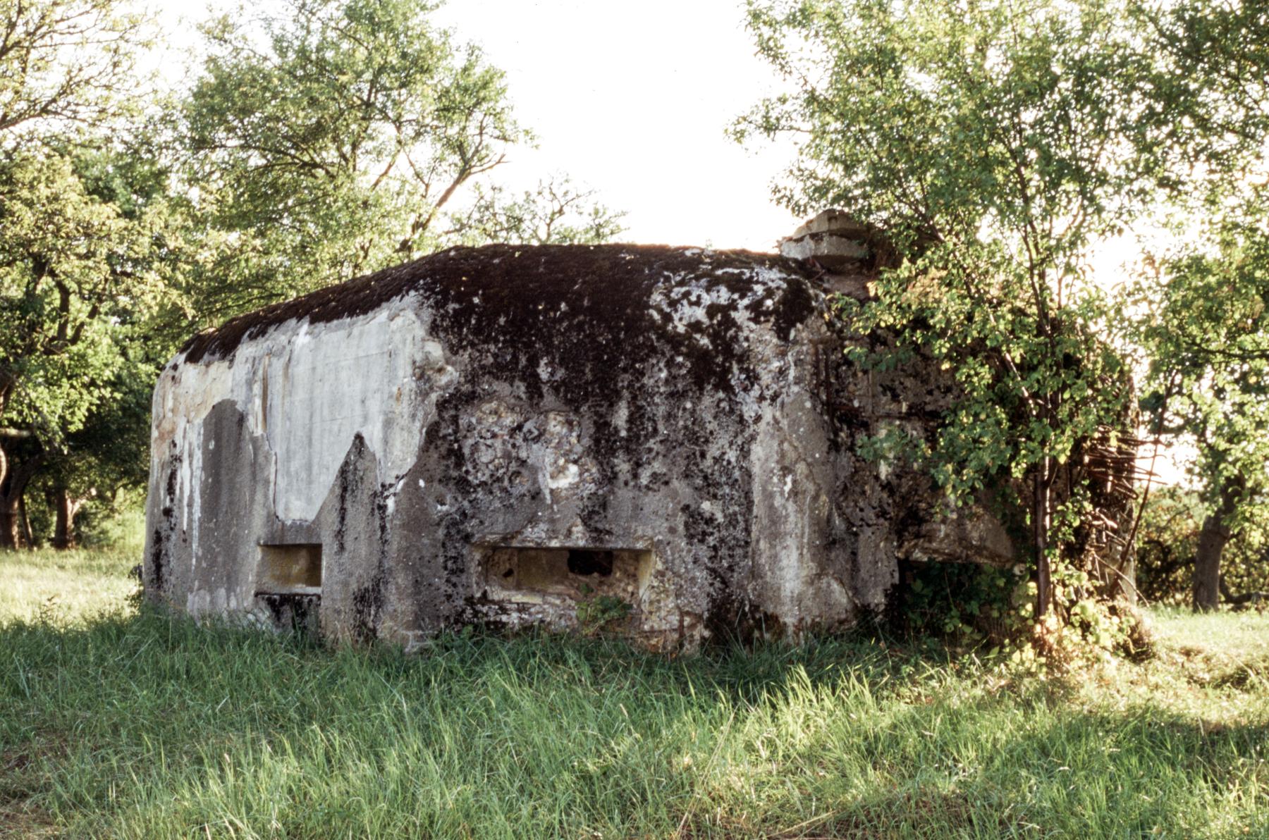 Ligne Maginot - R8B - CALVAIRE 1 - (Blockhaus pour arme infanterie) -  - MANSUY Michel