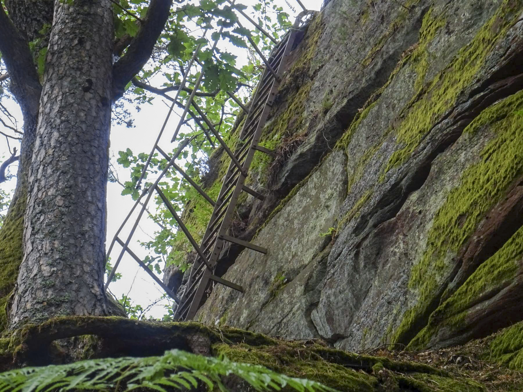 Ligne Maginot - FALKENBERG - (Observatoire d'artillerie) - Vue de la première échelle - Léo Zahn