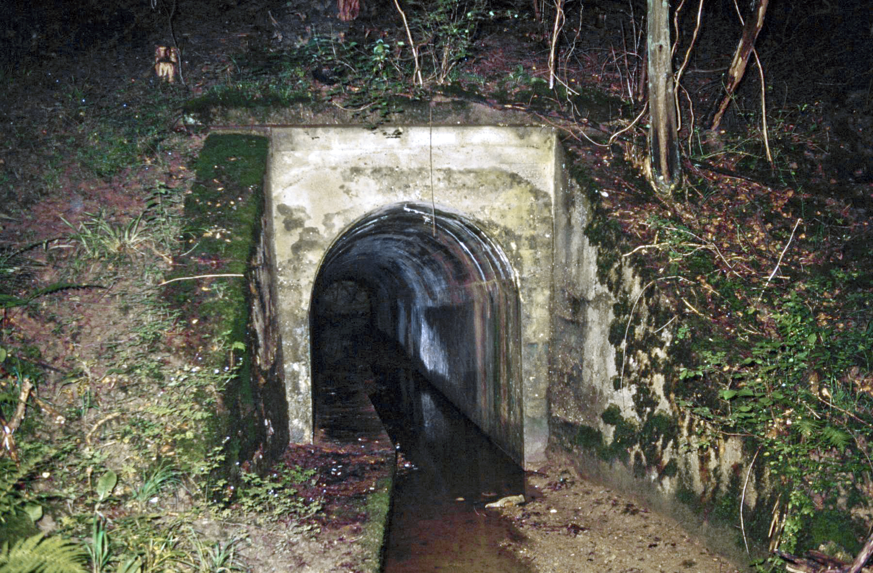 Ligne Maginot - VF60 - ANTENNE DE L'OUVRAGE DU KOBENBUSCH - (RESEAU - Voie 60 - Antenne ou rocade ferroviaire) - Pont de la Croix Hépich - Michel Mansuy