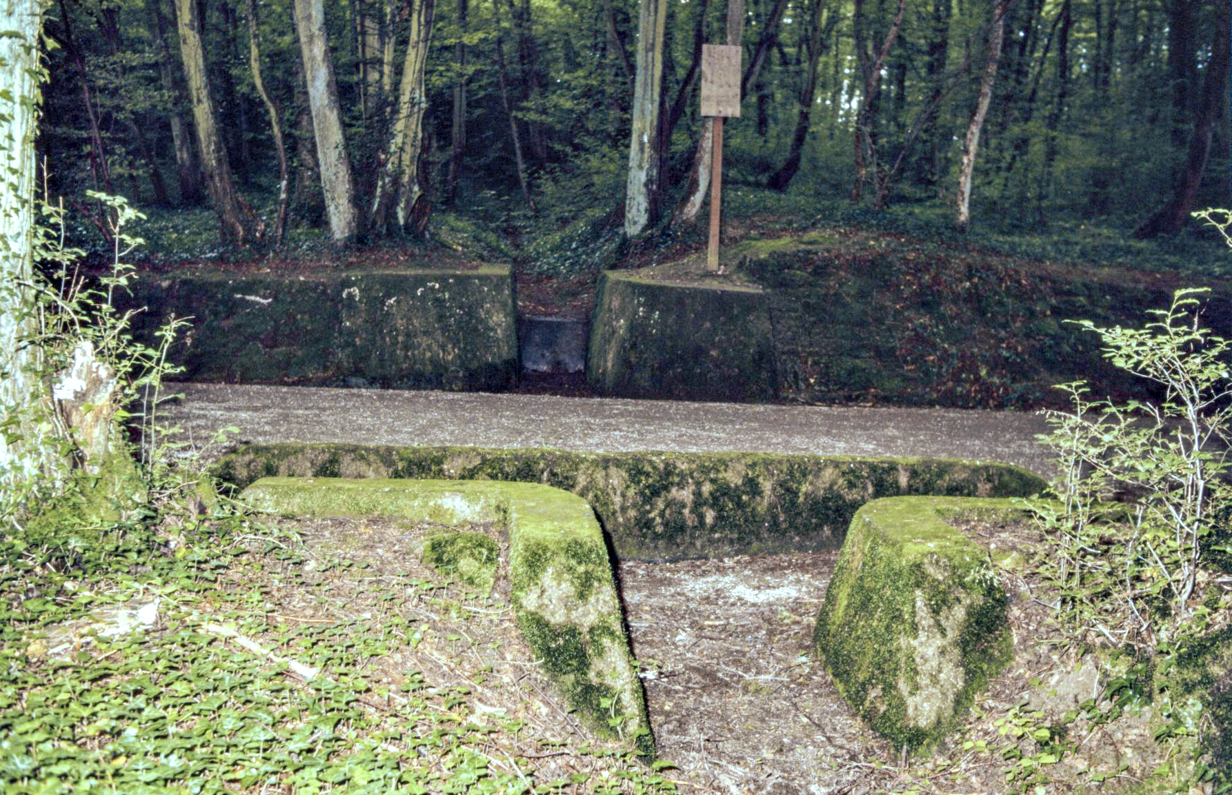 Ligne Maginot - VF60 - ANTENNE DE L'OUVRAGE DU KOBENBUSCH - (RESEAU - Voie 60 - Antenne ou rocade ferroviaire) - Pont du Schwerenberg
Vue dans l'axe du ruisseau - Michel Mansuy
