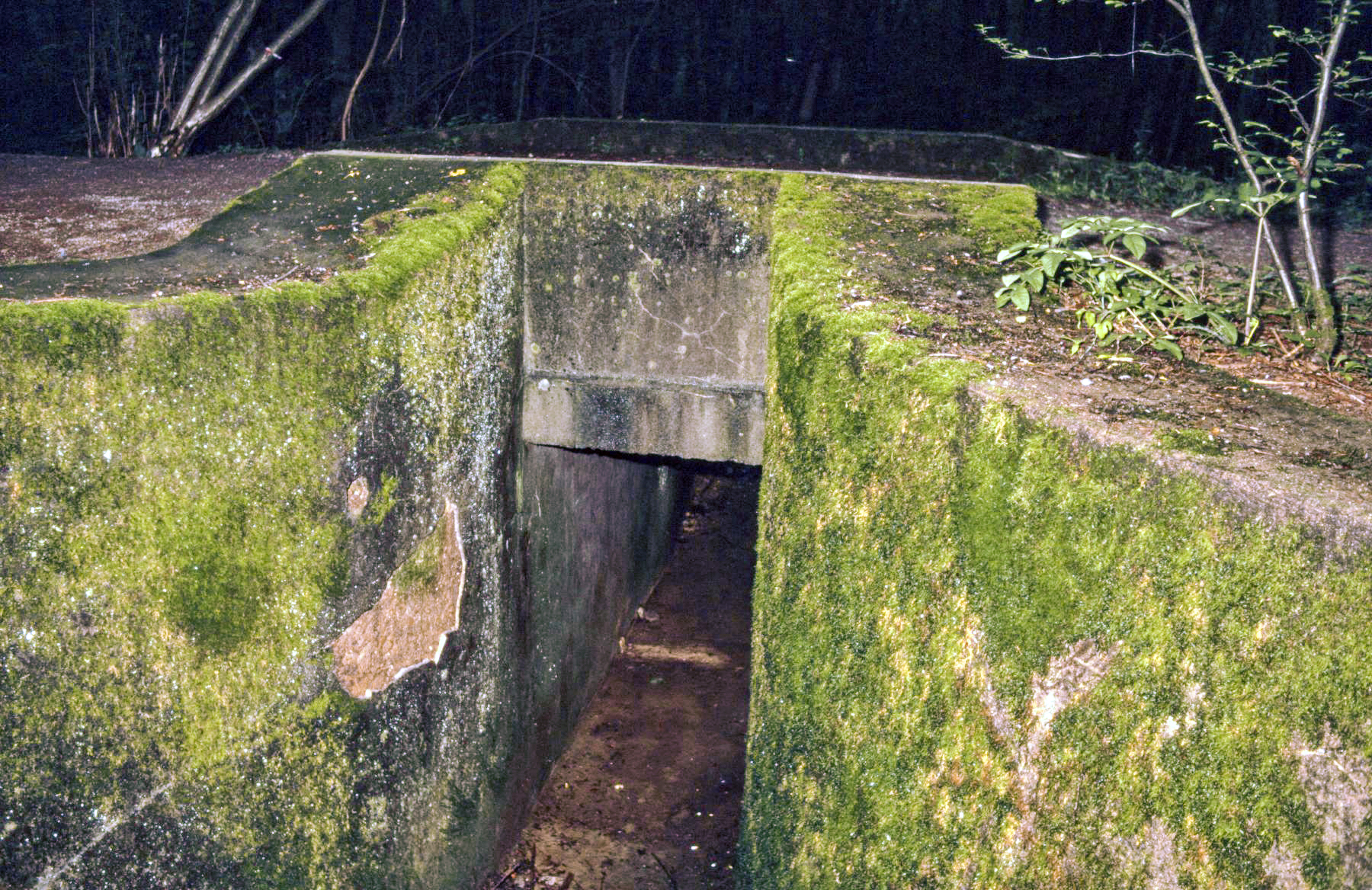 Ligne Maginot - VF60 - ANTENNE DE L'OUVRAGE DU KOBENBUSCH - (RESEAU - Voie 60 - Antenne ou rocade ferroviaire) - Pont du Schwerenberg
Passage sous voie - Michel Mansuy