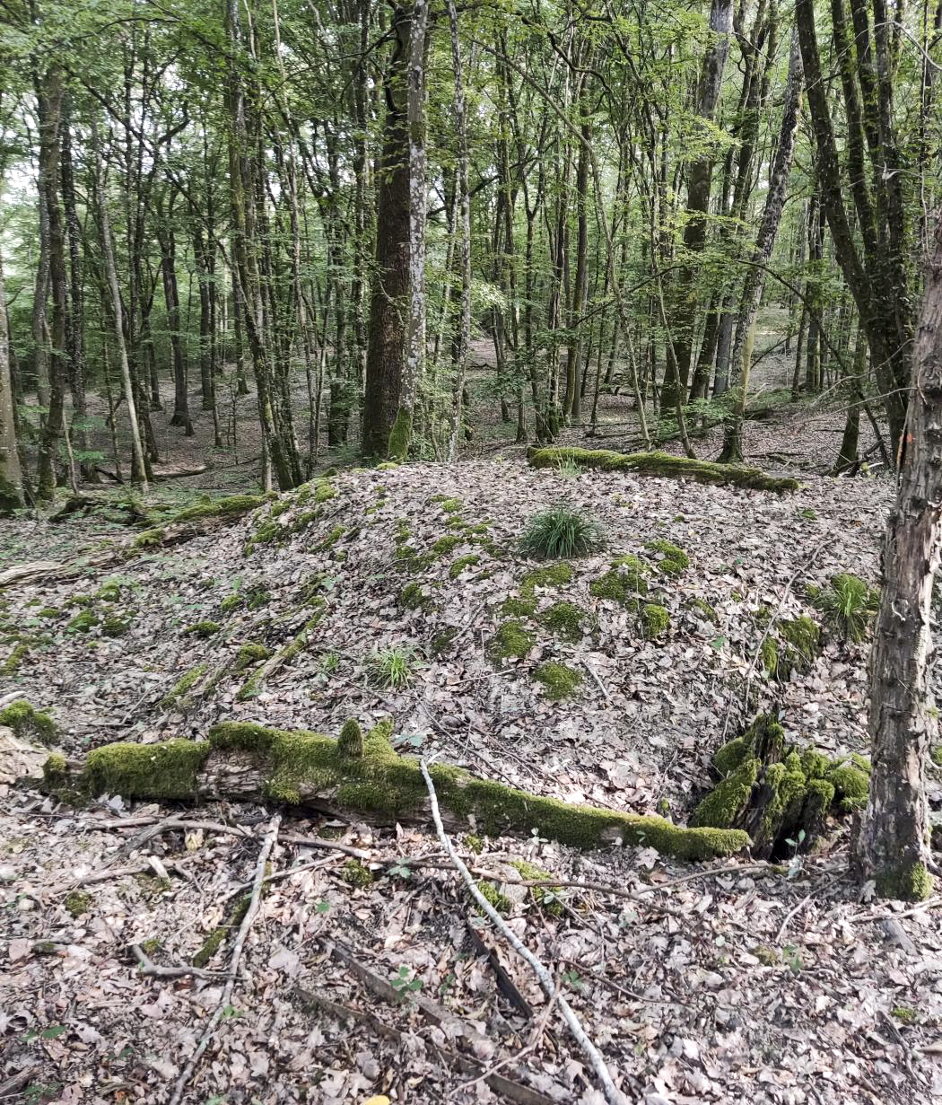 Ligne Maginot - 29T - (Chambre de coupure) - Vue sur la chambre de coupure à une vingtaine de mètres. - rominoutche