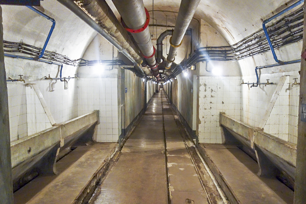Ligne Maginot - SAINT ROCH (SHR) - (Ouvrage d'artillerie) - Lavabos troupe dans la galerie principale - Michel Teiten