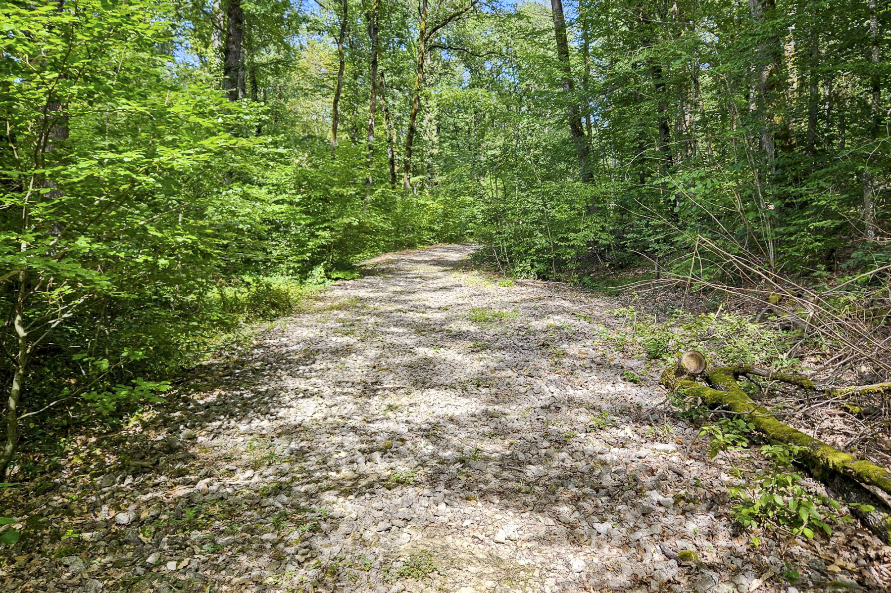 Ligne Maginot - VF60 - ANTENNE DE L'OUVRAGE DU KOBENBUSCH - (RESEAU - Voie 60 - Antenne ou rocade ferroviaire) - Emplacement de l'évitement du Bois de Lagrange - Michel Teiten