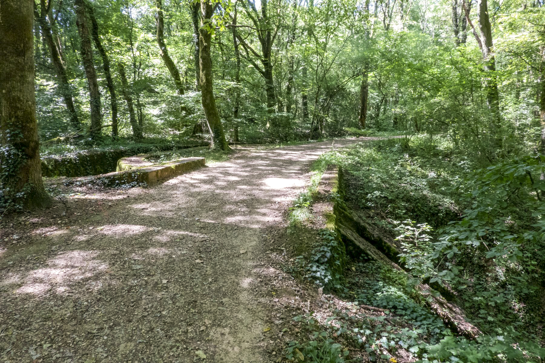Ligne Maginot - VF60 - ANTENNE DE L'OUVRAGE DU KOBENBUSCH - (RESEAU - Voie 60 - Antenne ou rocade ferroviaire) - Pont du Schwerenberg
Vue dans l'axe de la voie - Michel Teiten