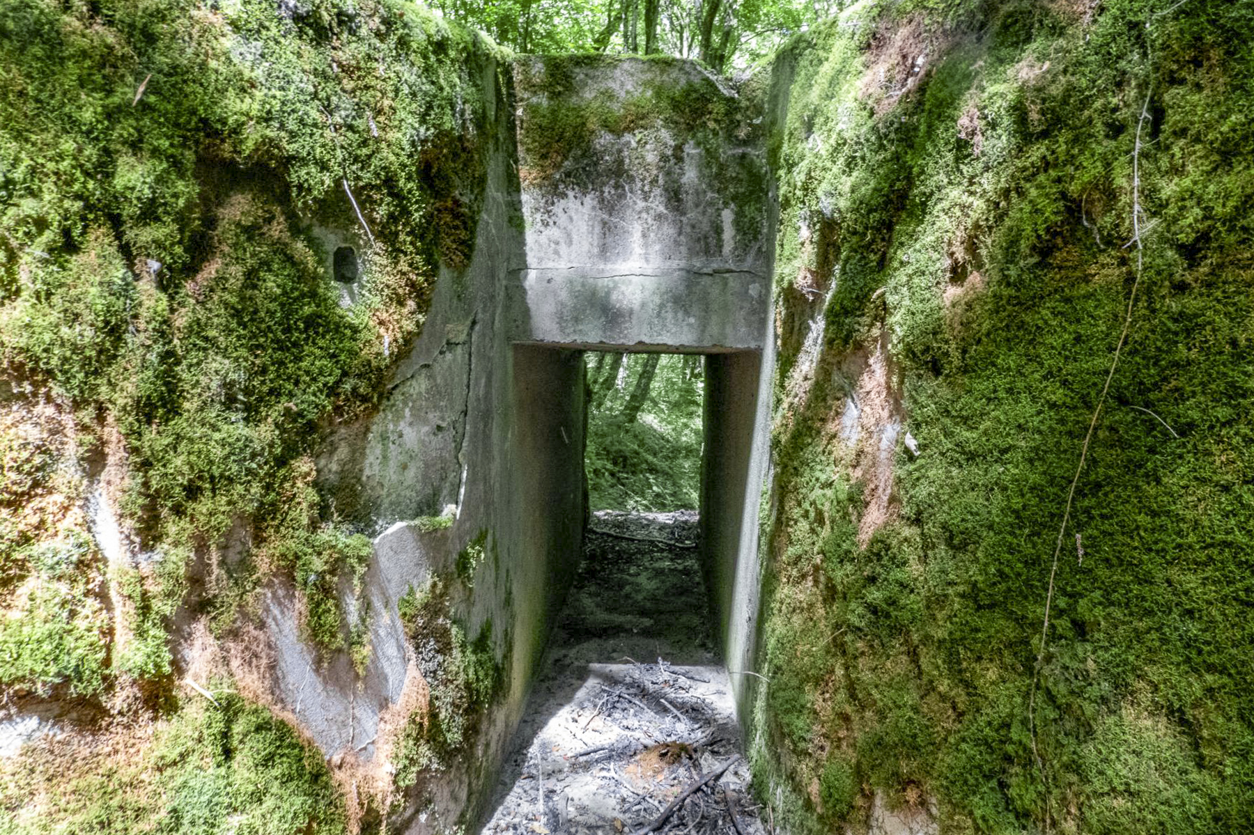 Ligne Maginot - VF60 - ANTENNE DE L'OUVRAGE DU KOBENBUSCH - (RESEAU - Voie 60 - Antenne ou rocade ferroviaire) - Pont du Schwerenberg
Passage sous voie - Michel Teiten