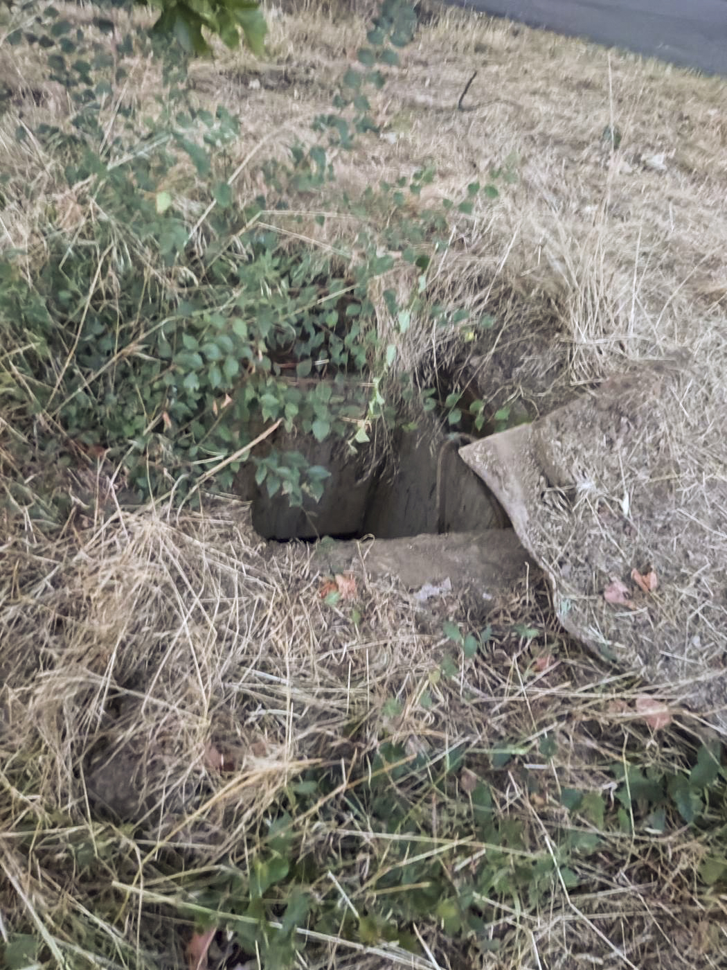 Ligne Maginot - 32T - (Chambre de coupure) - Trappe d'accès, arrachée de ses gonds. - CONCI Romain