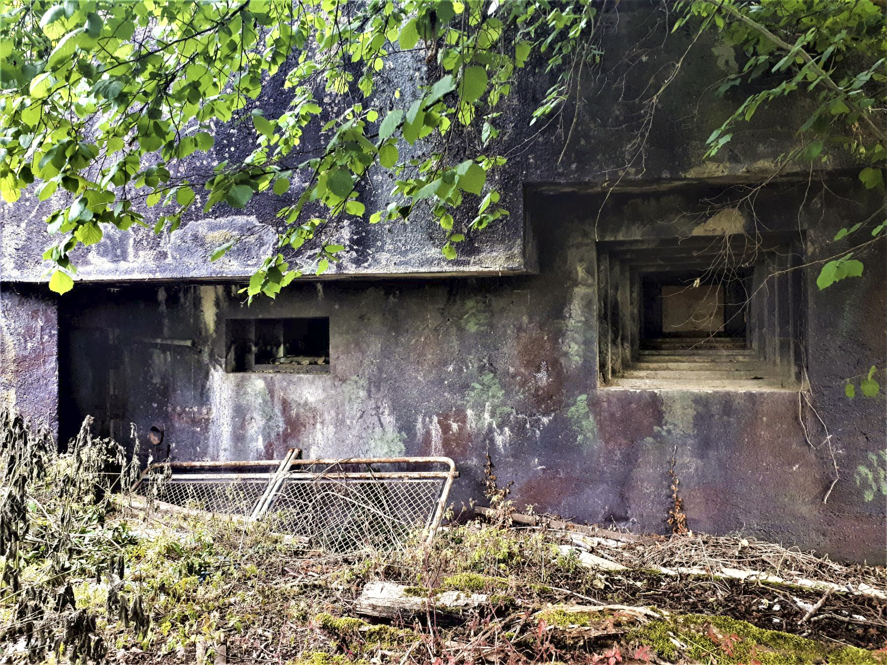 Ligne Maginot - 34/2 - CHALAMPE NORD OUEST - (Casemate d'infanterie - Double) - Chambre de tir nord.
La peinture de camouflage est encore en partie visible - Gregory Fuchs