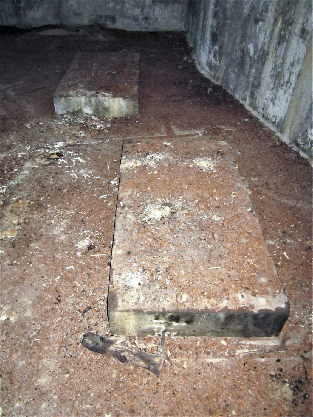 Ligne Maginot - 34/2 - CHALAMPE NORD OUEST - (Casemate d'infanterie - Double) - Socles des deux groupes électrogène - Gregory Fuchs