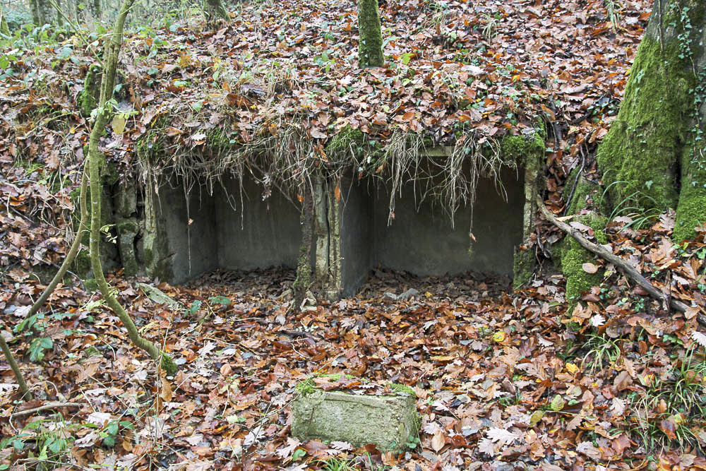 Ligne Maginot - BOIS DE KANFEN EST - C43 - (Casemate d'infanterie - Simple) - Niches à mines - Michel Teiten