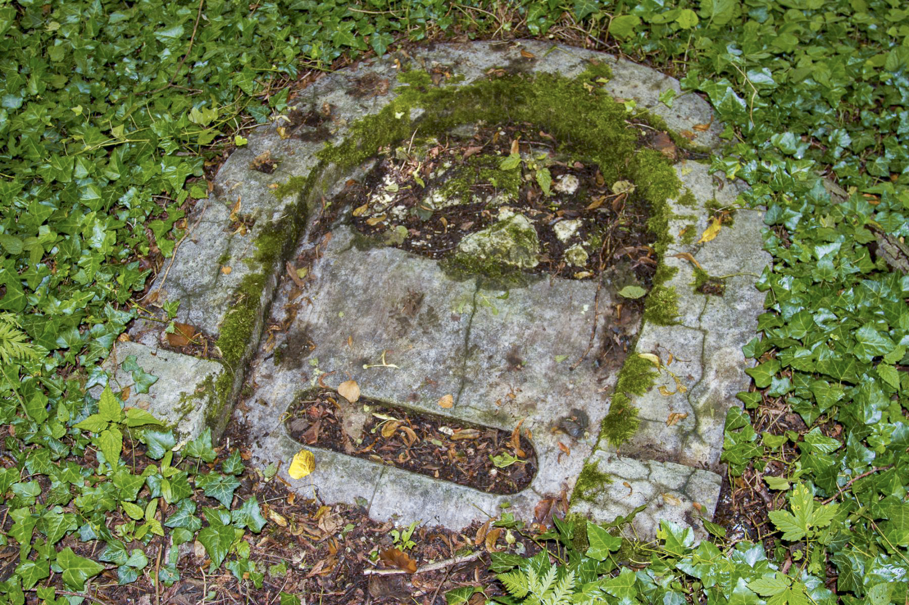 Ligne Maginot - BILLIG - (Casernement) - Restes d'un insigne à l'entrée du camp - Michel Teiten