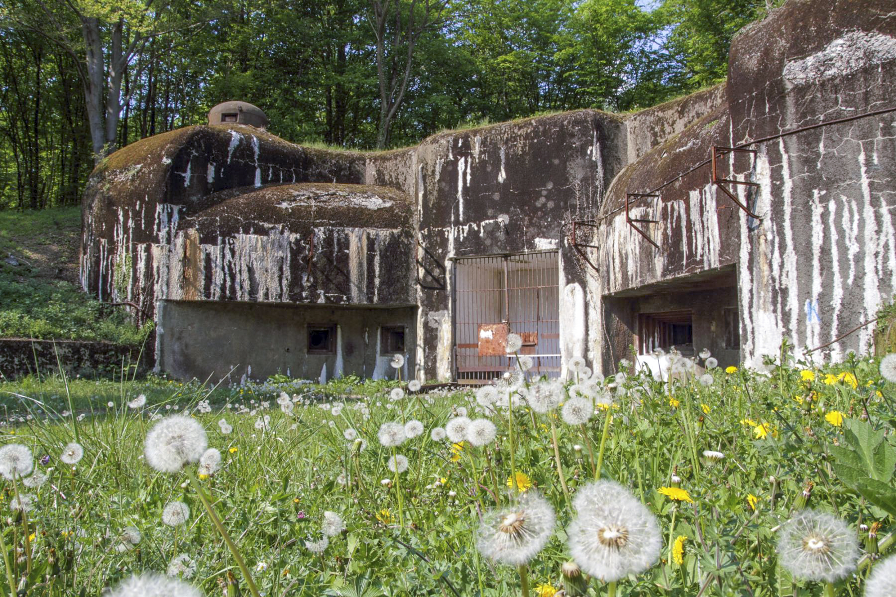 Ligne Maginot - KOBENBUSCH  - A13 - (Ouvrage d'artillerie) - Entrée des munitions - Michel Teiten