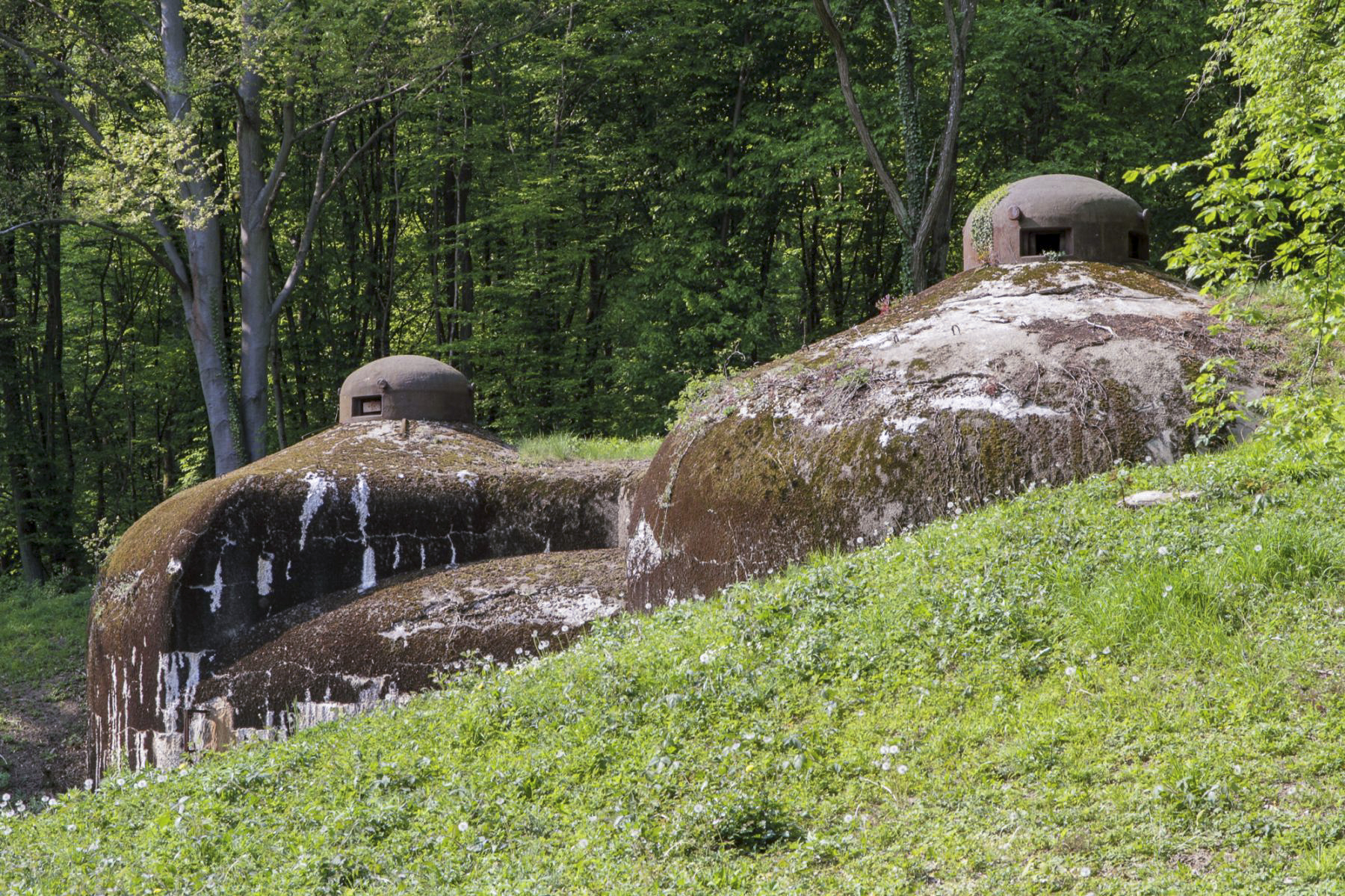 Ligne Maginot - KOBENBUSCH  - A13 - (Ouvrage d'artillerie) - Entrée des munitions
Cette vue avec les deux cloches GFM met bien en évidence la forme unique de cette entrée - Michel Teiten