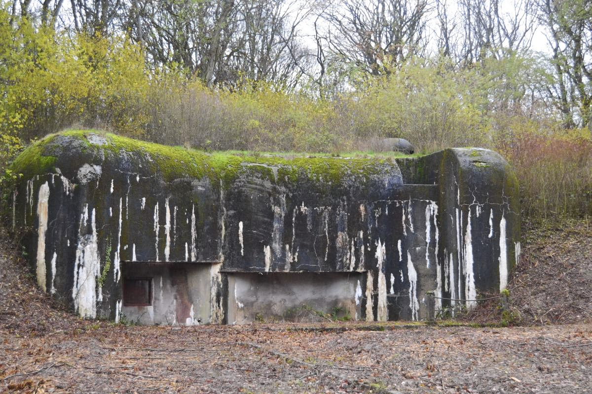 Ligne Maginot - KOBENBUSCH  - A13 - (Ouvrage d'artillerie) - Entrée des hommes
Après débroussaillage en 2019.
L'entrée et les meurtrières ont été murées par sécurité, le pied du bloc étant inondé et inaccessible