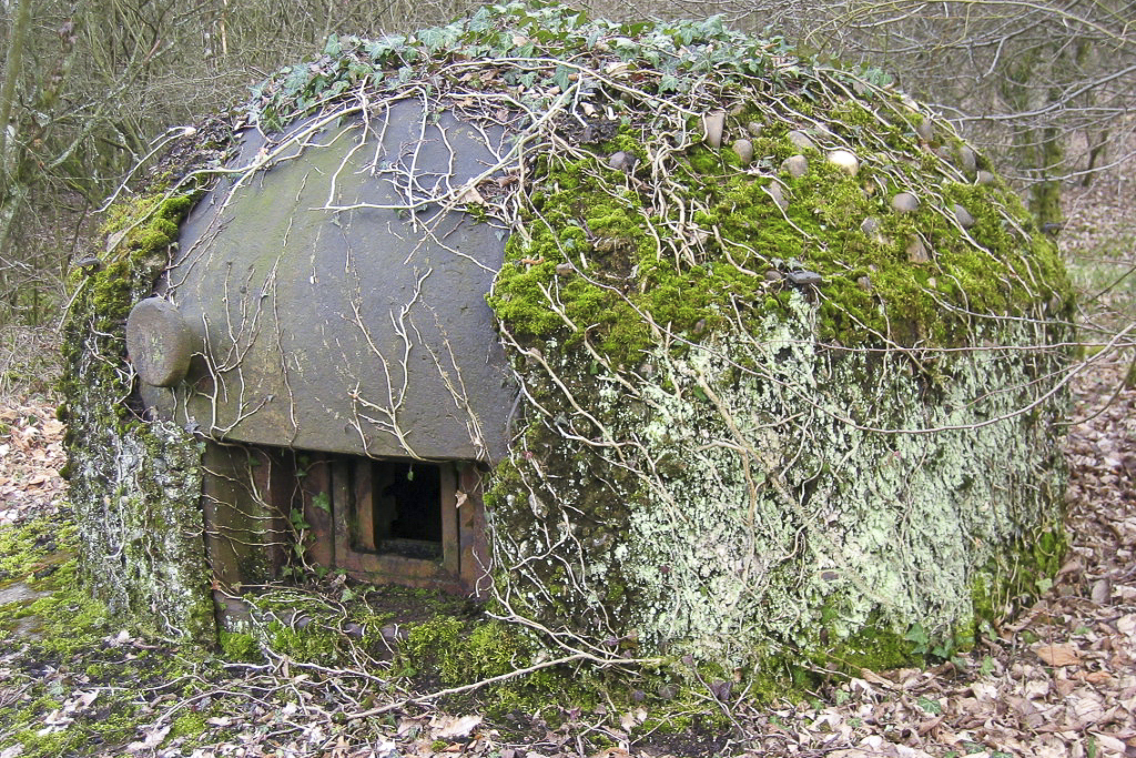 Ligne Maginot - KOBENBUSCH  - A13 - (Ouvrage d'artillerie) - Bloc 1
La cloche GFM avec son camouflage en rocaille - Michel Teiten