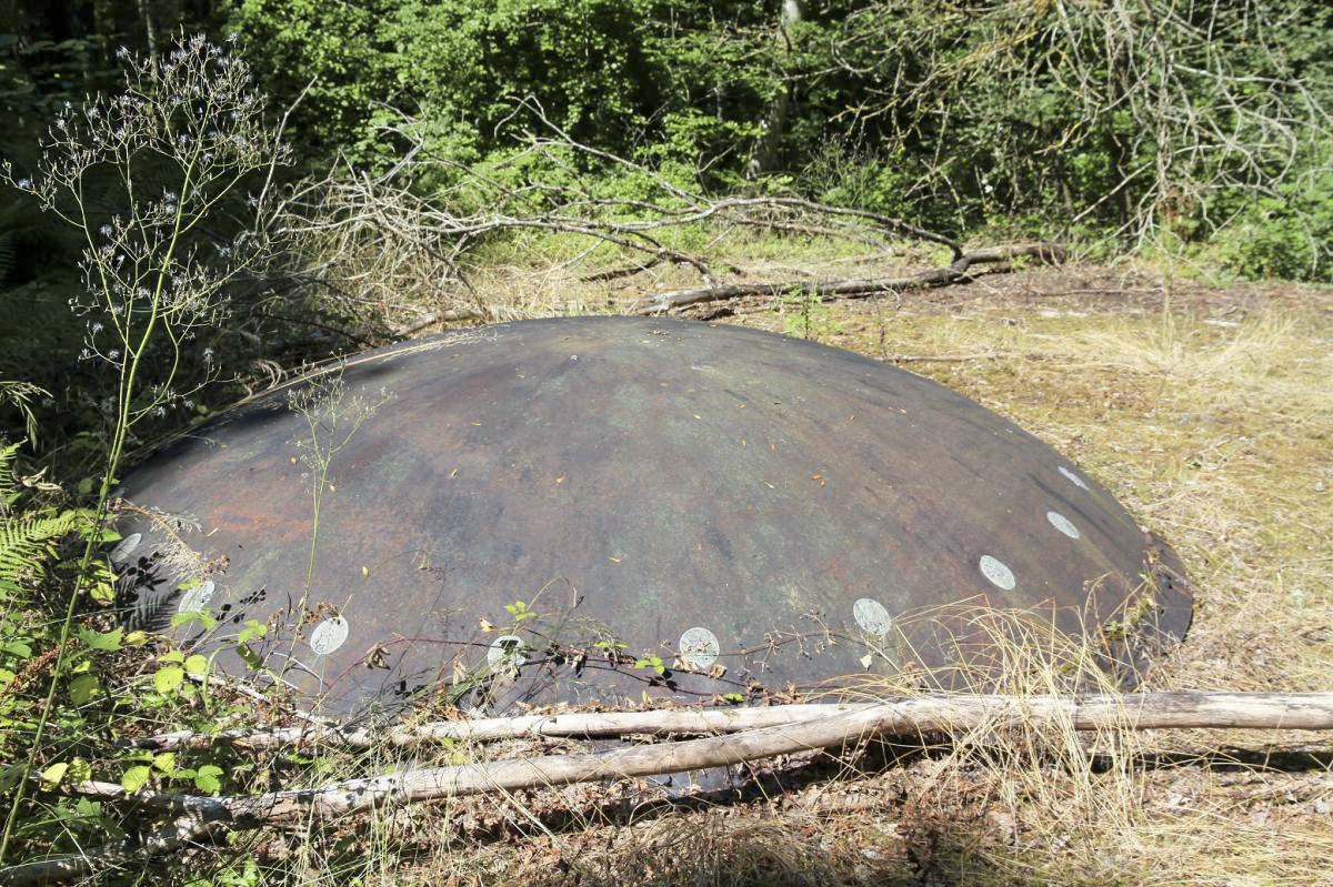 Ligne Maginot - KOBENBUSCH  - A13 - (Ouvrage d'artillerie) - Bloc 5
La tourelle partiellement noyée dans la végétation