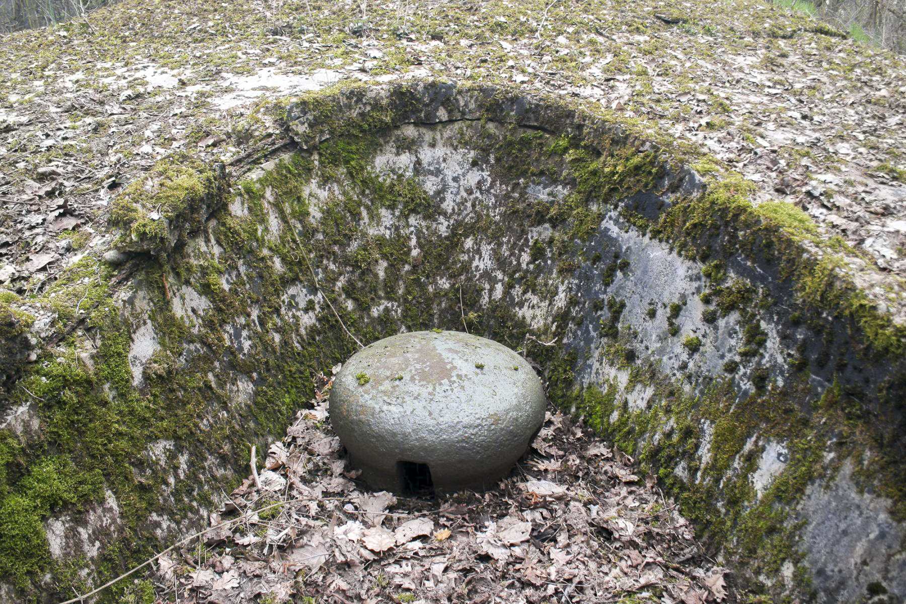 Ligne Maginot - GALGENBERG - A15 - (Ouvrage d'artillerie) - Bloc 3
Champignon de prise d'air  - Michel Teiten