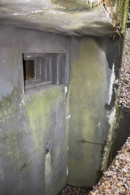 Ligne Maginot - GALGENBERG - A15 - (Ouvrage d'artillerie) - Bloc 1
Fossé diamant