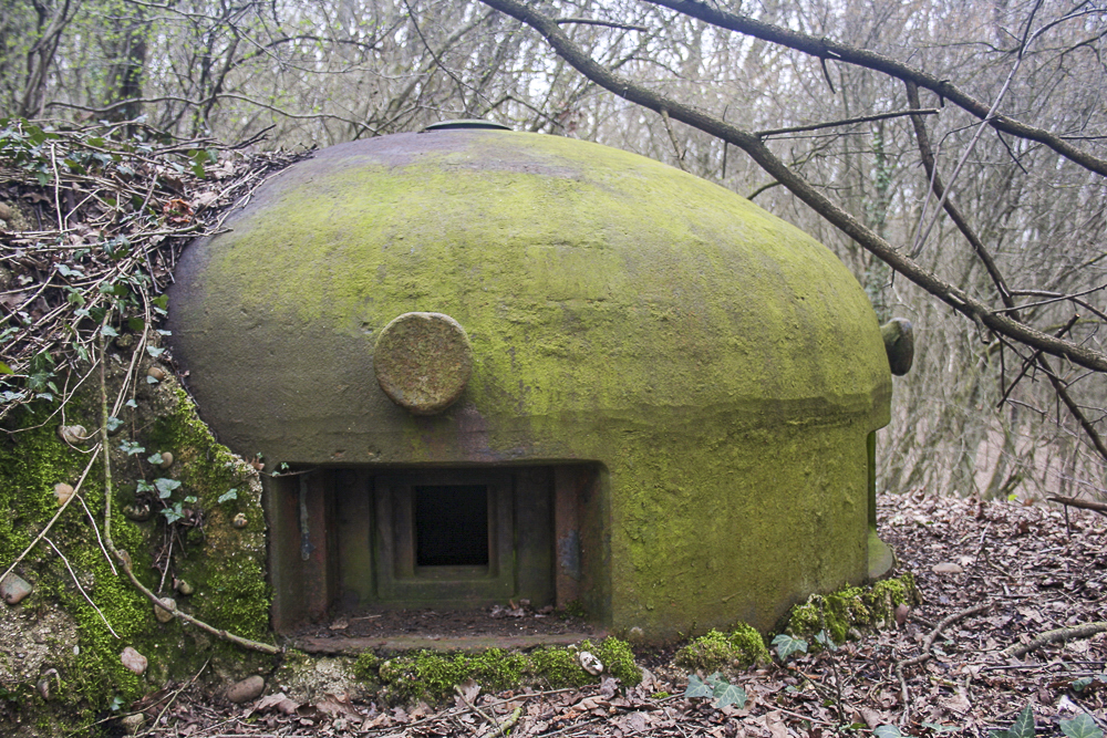 Ligne Maginot - GALGENBERG - A15 - (Ouvrage d'artillerie) - Bloc 1
Cloche GFM