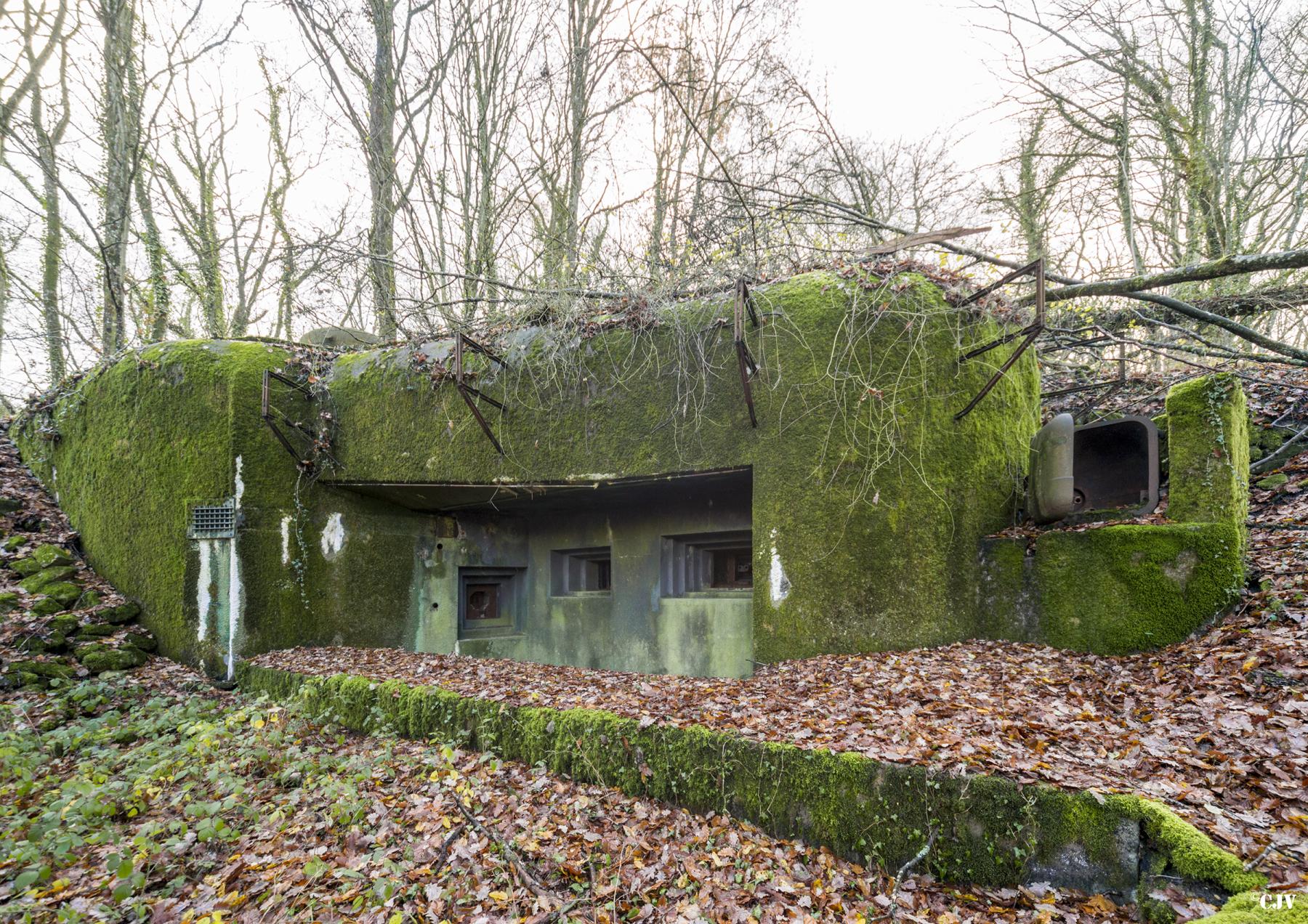 Ligne Maginot - GALGENBERG - A15 - (Ouvrage d'artillerie) - Bloc 2
Casemate d'infanterie flanquant en direction de la casemate du Sonnenberg