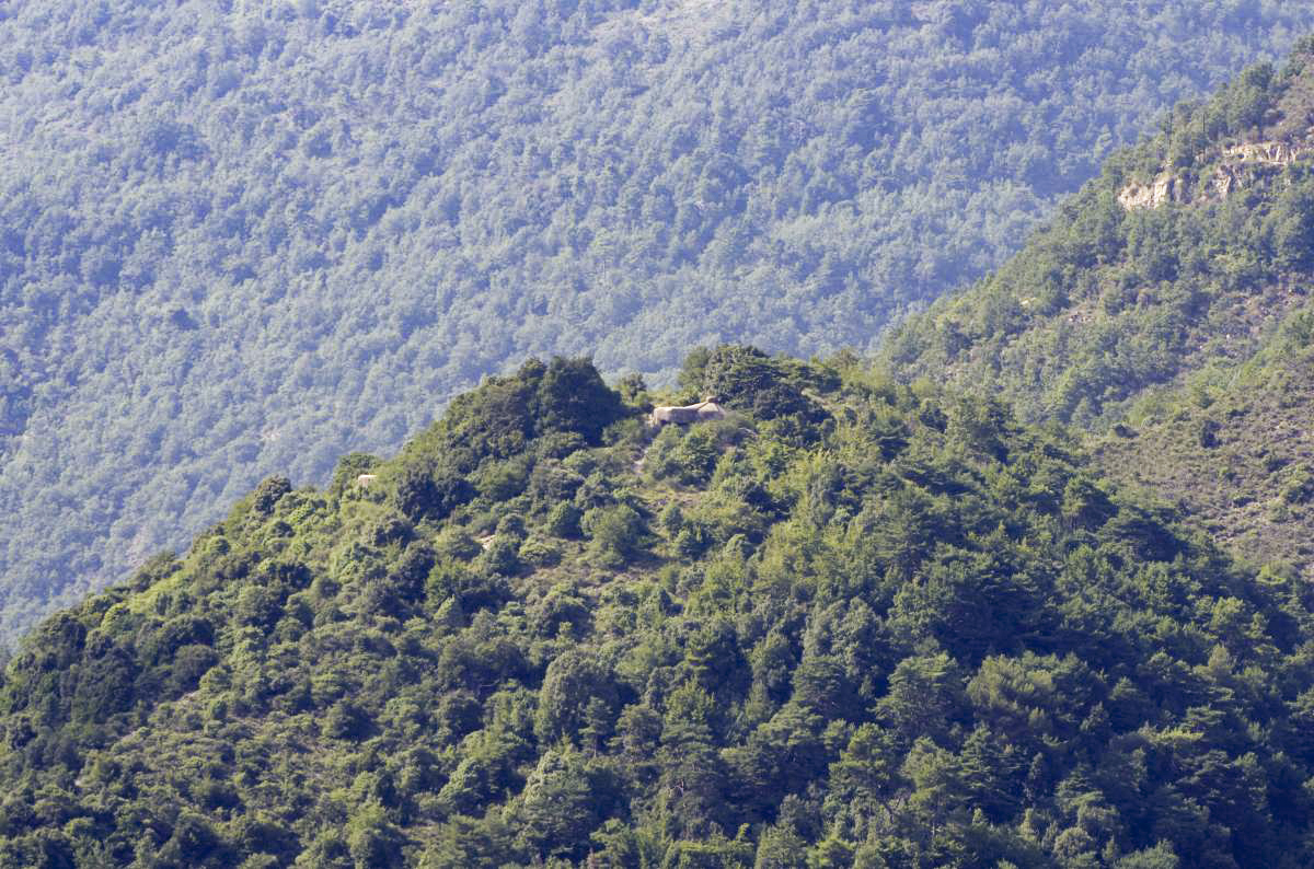 Ligne Maginot - COL DES BANQUETTES (EO7) - (Abri actif) - PO vu depuis St-Agnès - AURET Vincent