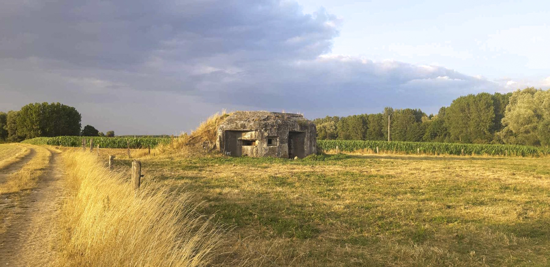 Ligne Maginot - NORD FRESNOIS - (Blockhaus pour canon) -  - pascal rémy