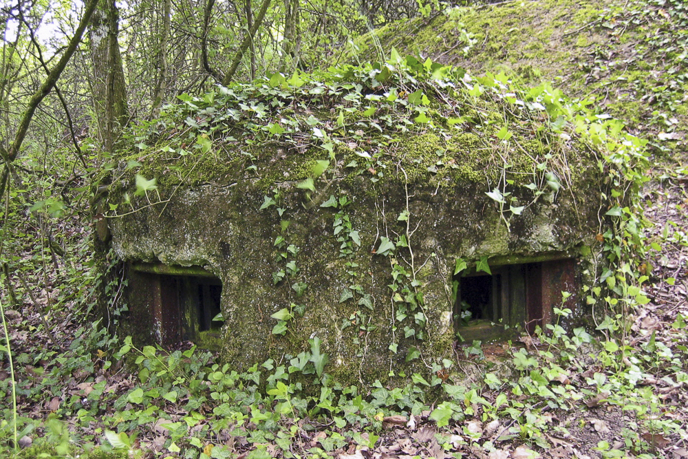 Ligne Maginot - OBERHEIDE - A14 - (Ouvrage d'infanterie) - L'une des cloches GFM de l'ouvrage - Michel Teiten