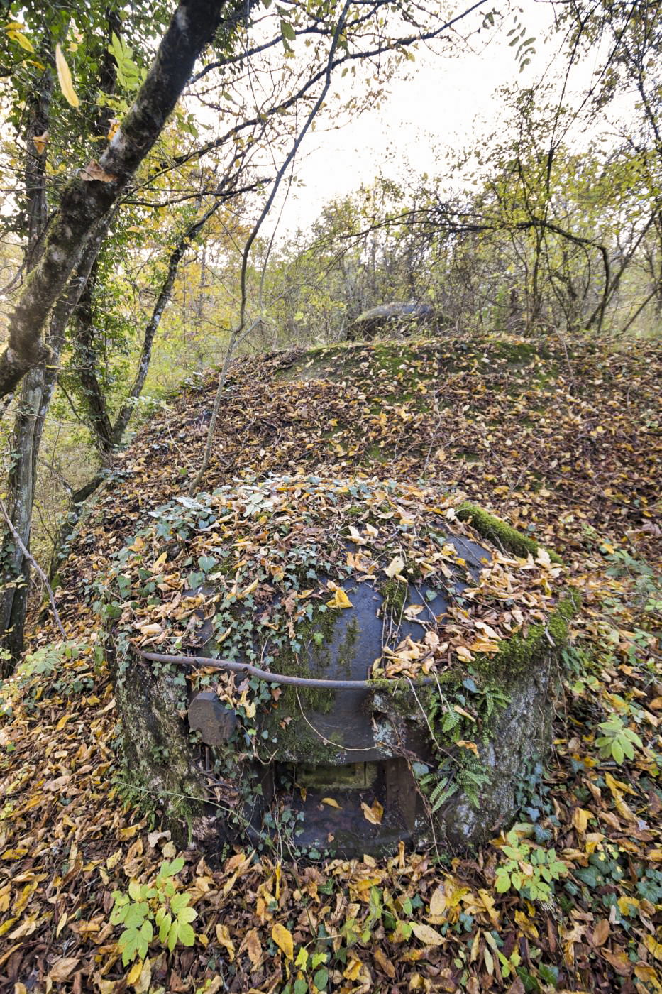 Ligne Maginot - OBERHEIDE - A14 - (Ouvrage d'infanterie) - Cloche GFM