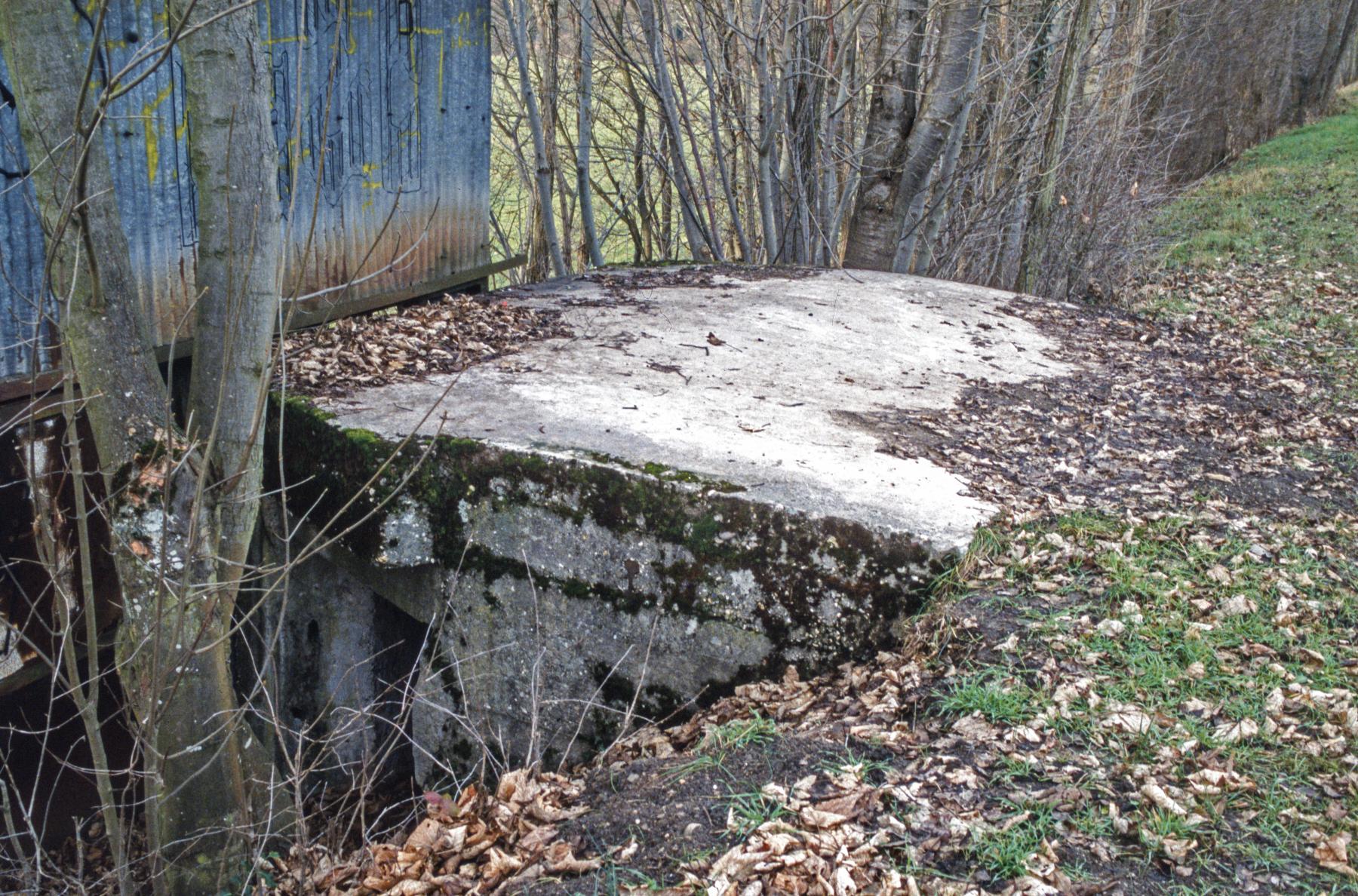 Ligne Maginot - SARRALBE CANAL 2 - (Blockhaus pour arme infanterie) - Vu depuis la digue - MANSUY Michel