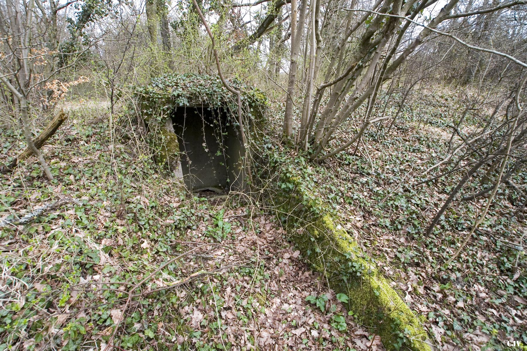 Ligne Maginot - ROTHERBERG - X30 (QUARTIER FREISTROFF - II/162°RIF) - (Abri) -  - Lia VERMEULEN