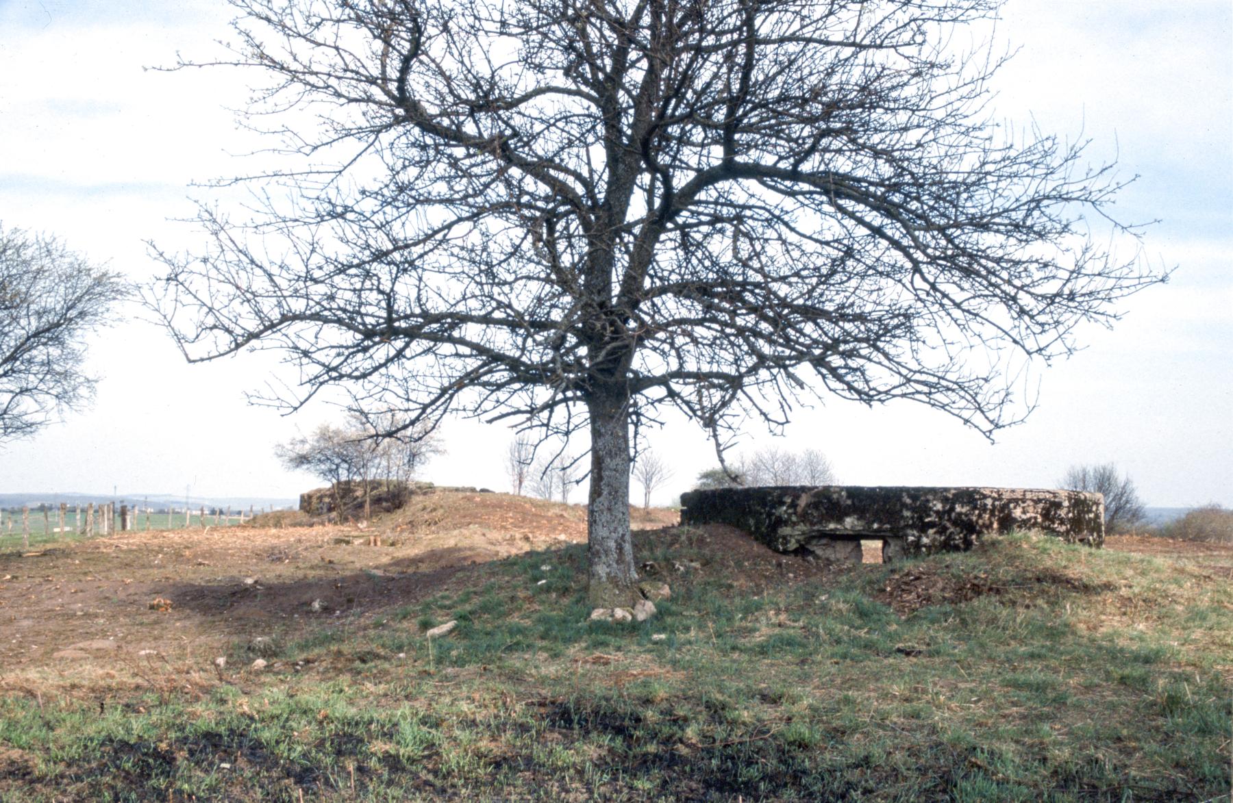 Ligne Maginot - KNOPP 1 - (Blockhaus pour arme infanterie) -  - MANSUY Michel