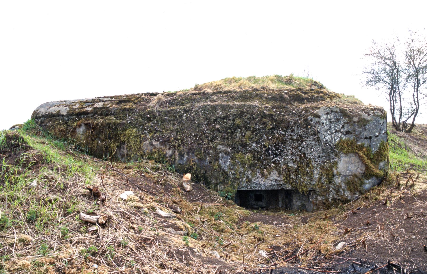 Ligne Maginot - M13B - KNOPP 2 - (Blockhaus pour arme infanterie) -  - MANSUY Michel