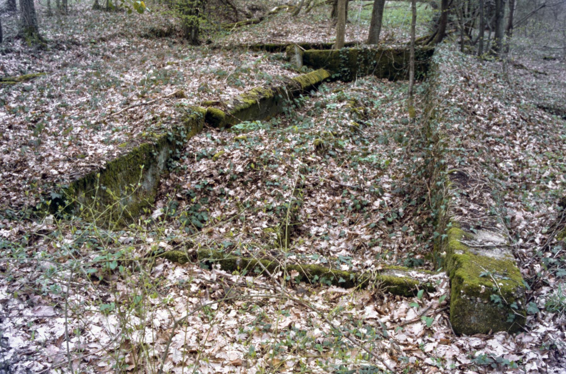 Ligne Maginot - BILLIG - (Casernement) -  - MANSUY Michel