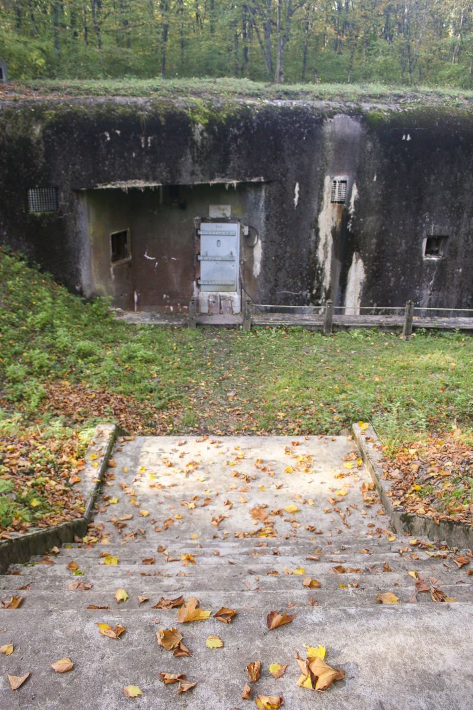 Ligne Maginot - BOIS DE CATTENOM - X14 - (Abri) - Escalier descendant à l'abri - Michel Teiten