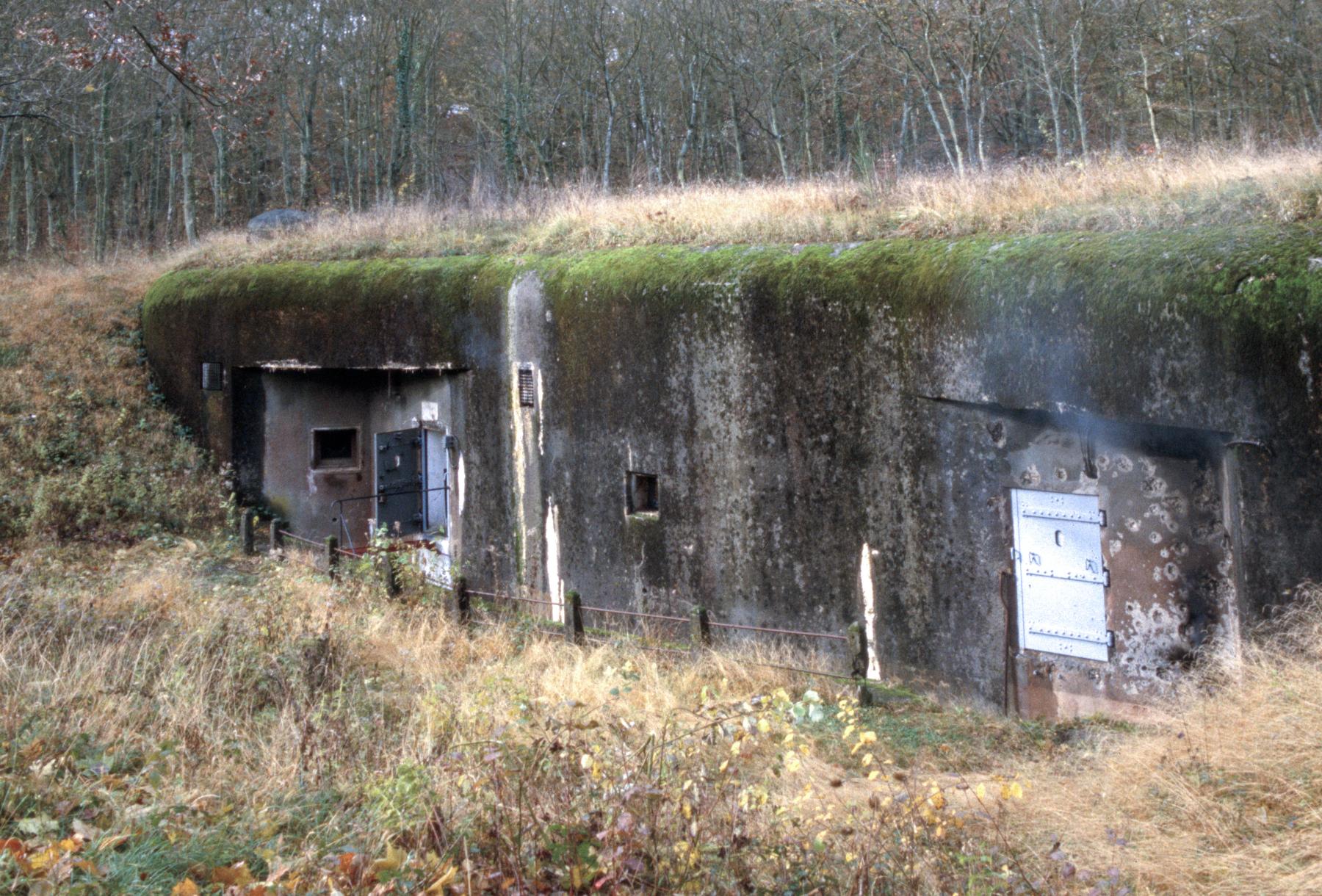 Ligne Maginot - BOIS DE CATTENOM - X14 - (Abri) -  - MANSUY Michel